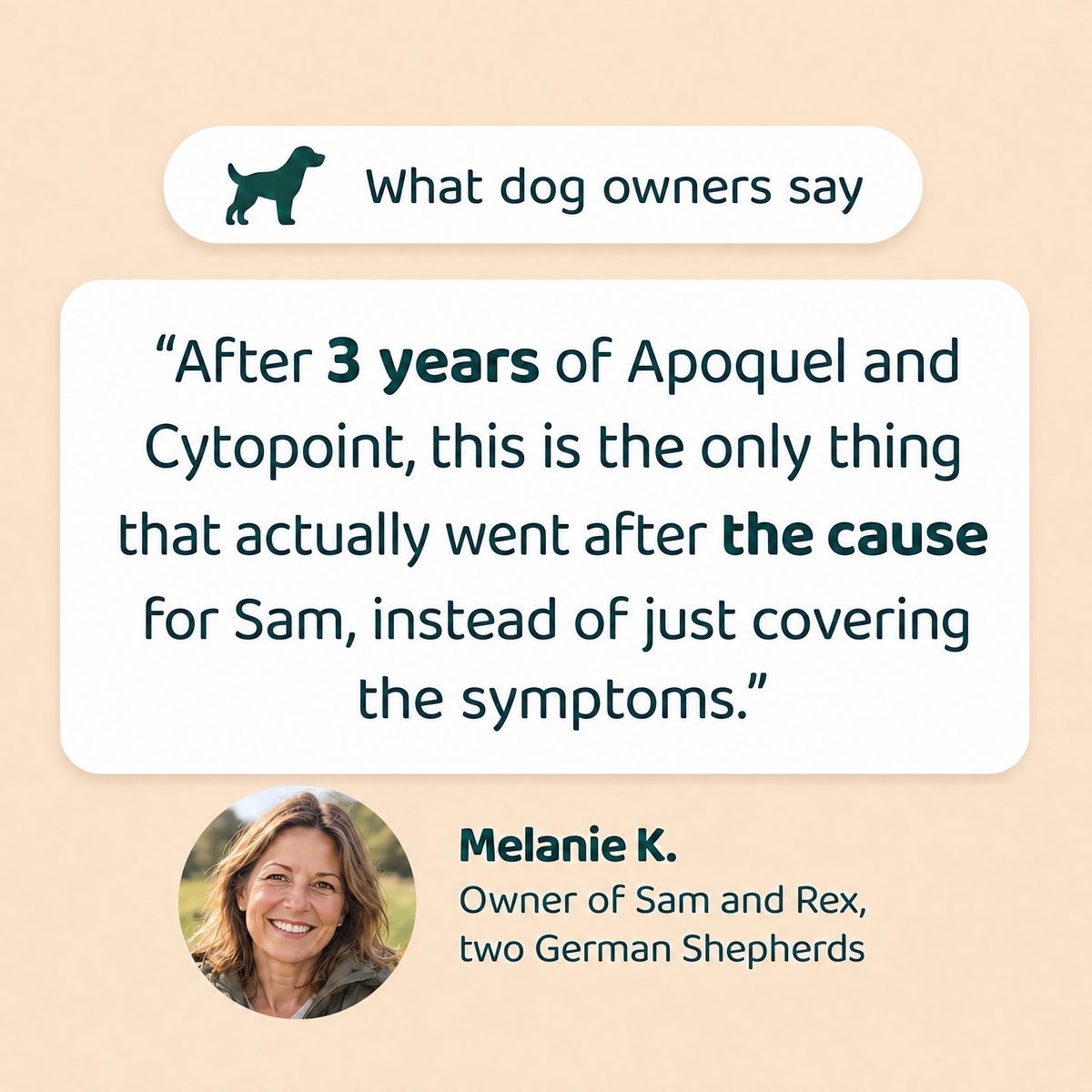 What dog owners say