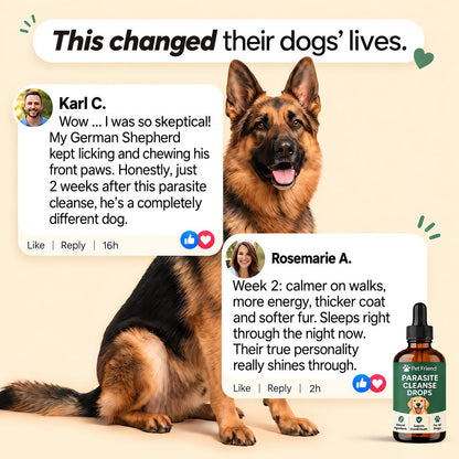 This changed their dogs' lives