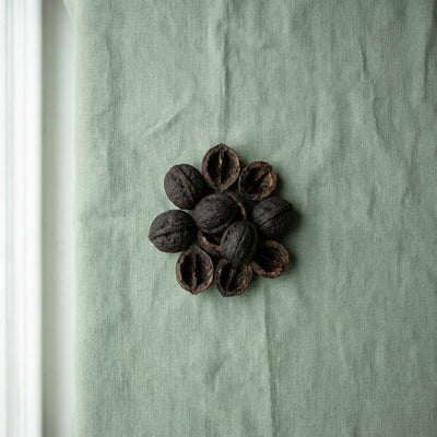 Black Walnut Hull