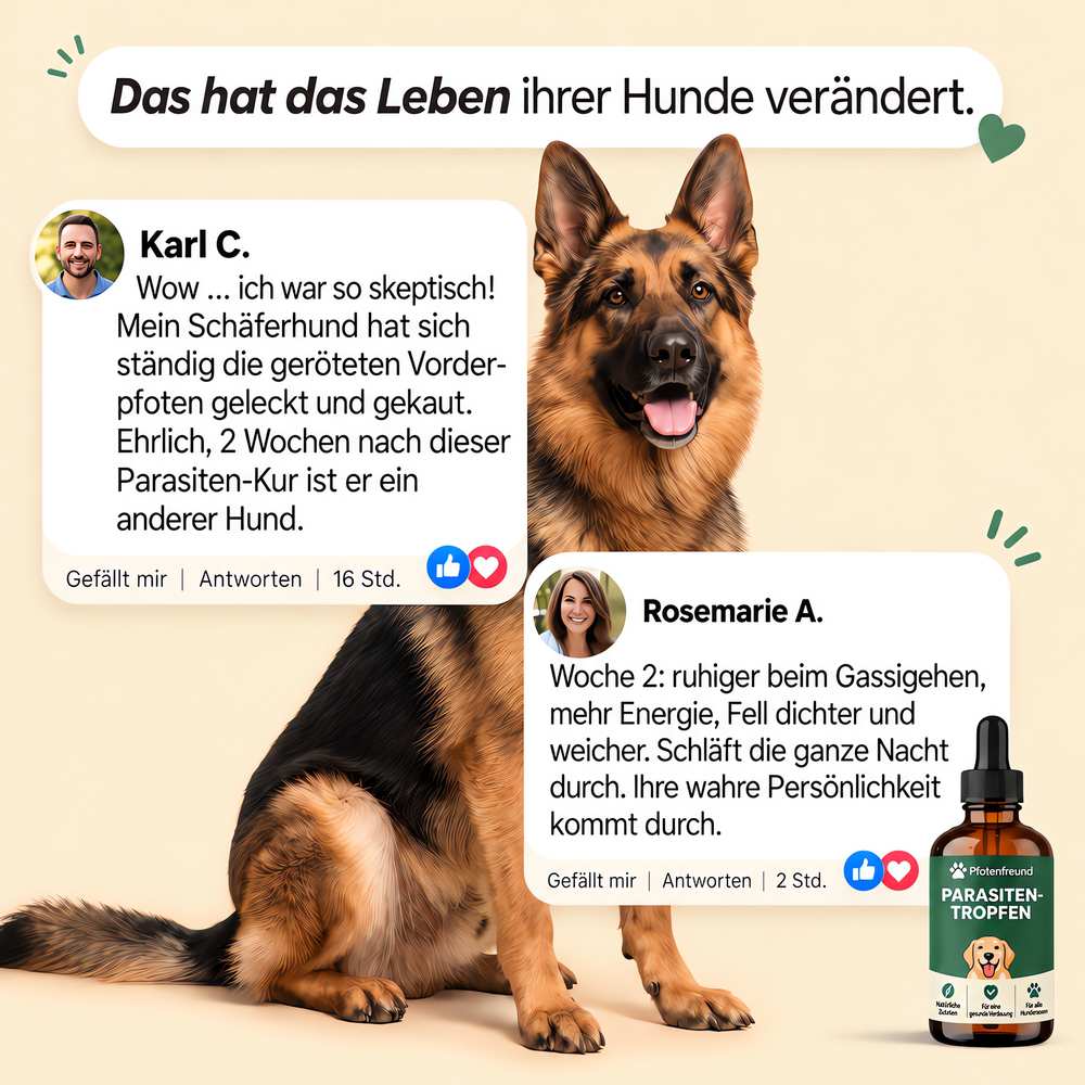 Das hat das Leben ihrer Hunde verändert