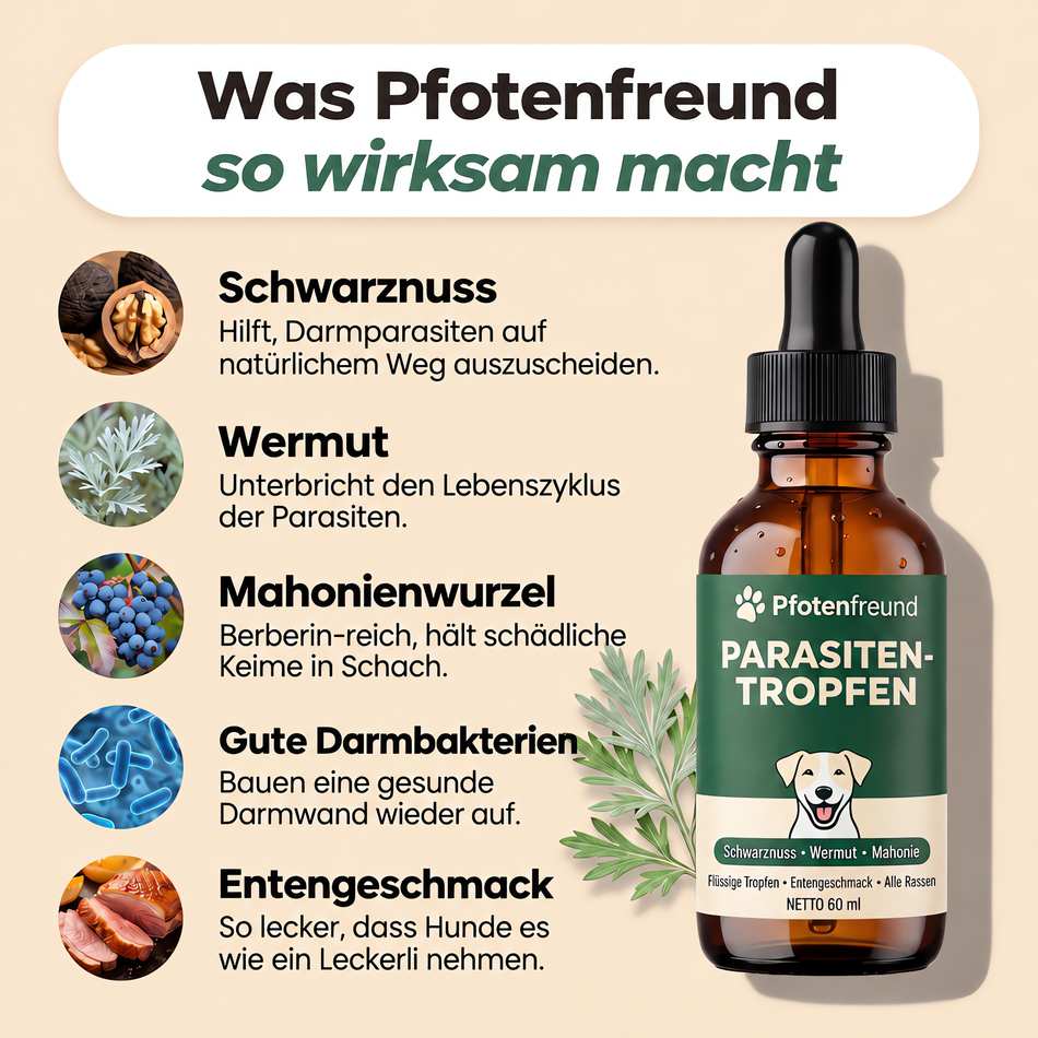 Was Pfotenfreund so wirksam macht