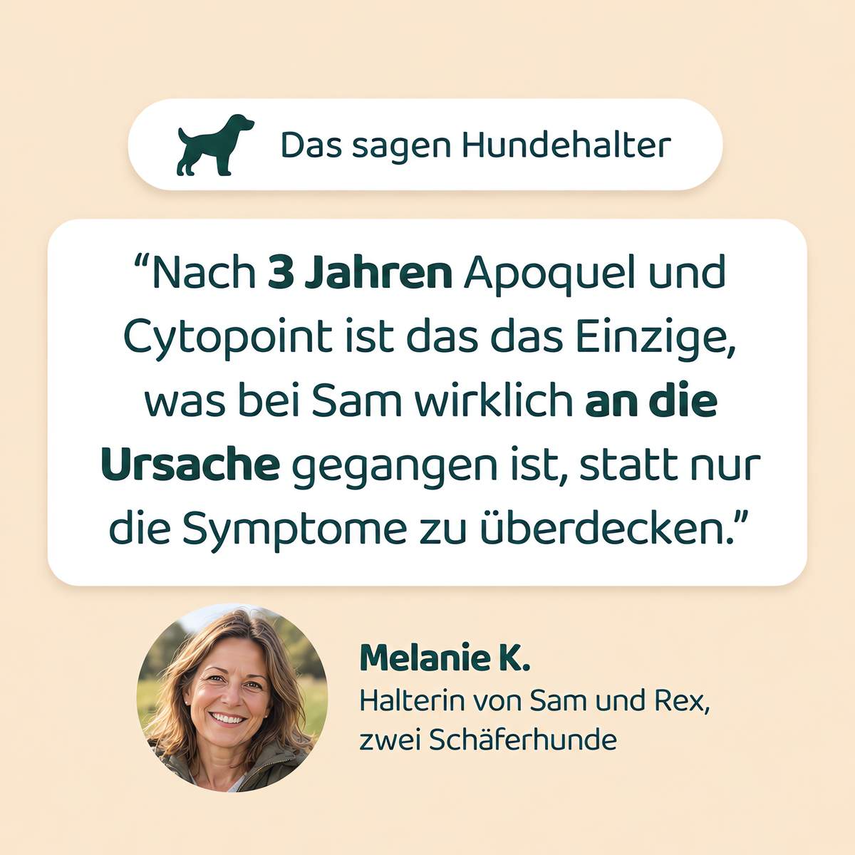 Das sagen Hundehalter