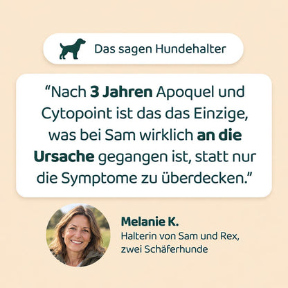 Das sagen Hundehalter