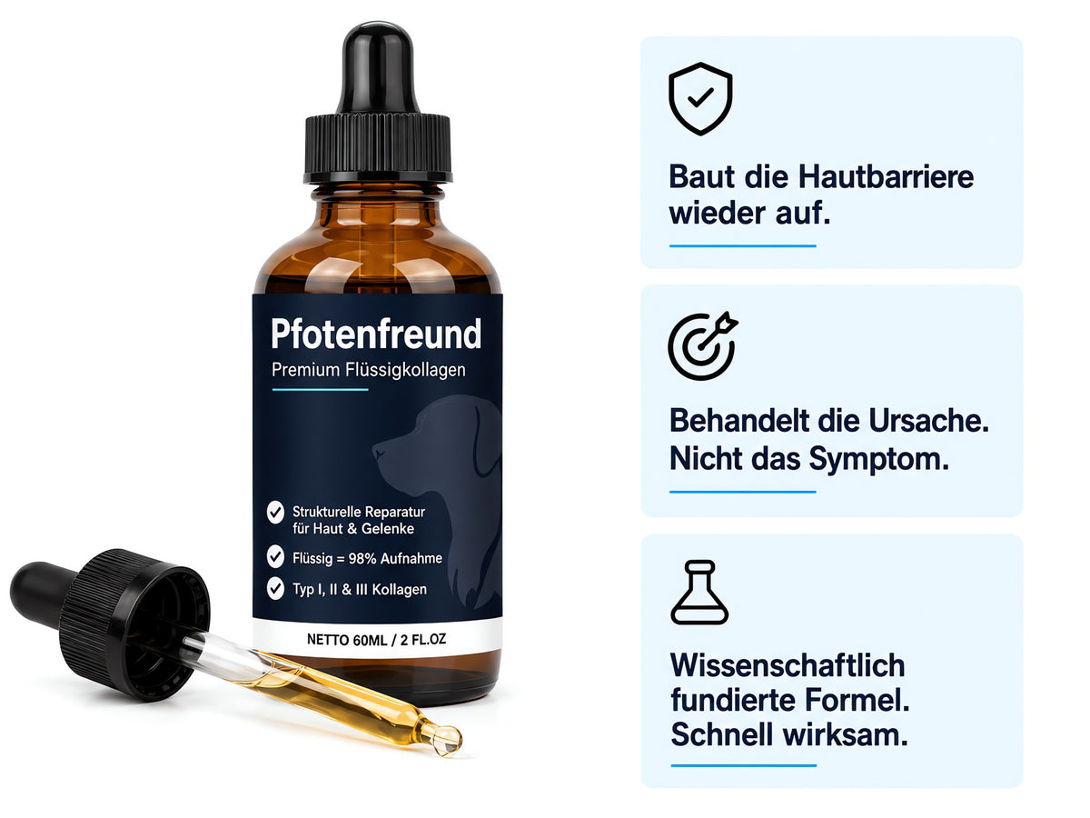 Pfotenfreund Premium Flüssigkollagen für Hunde