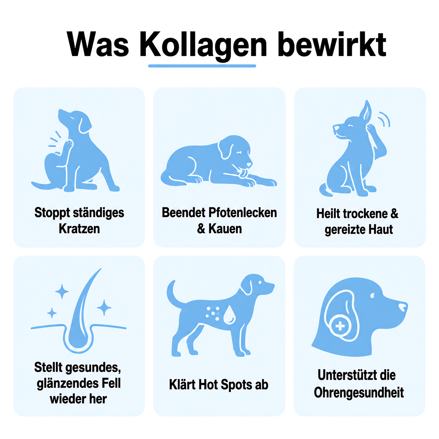 Pfotenfreund Premium Flüssigkollagen für Hunde