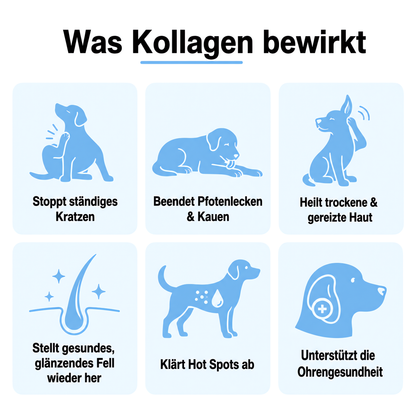 Pfotenfreund Premium Flüssigkollagen für Hunde